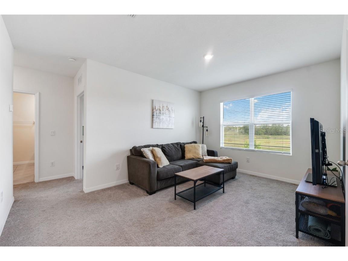 30935 Penny Surf Loop Wesley Chapel FL 33545 W7879248 image29