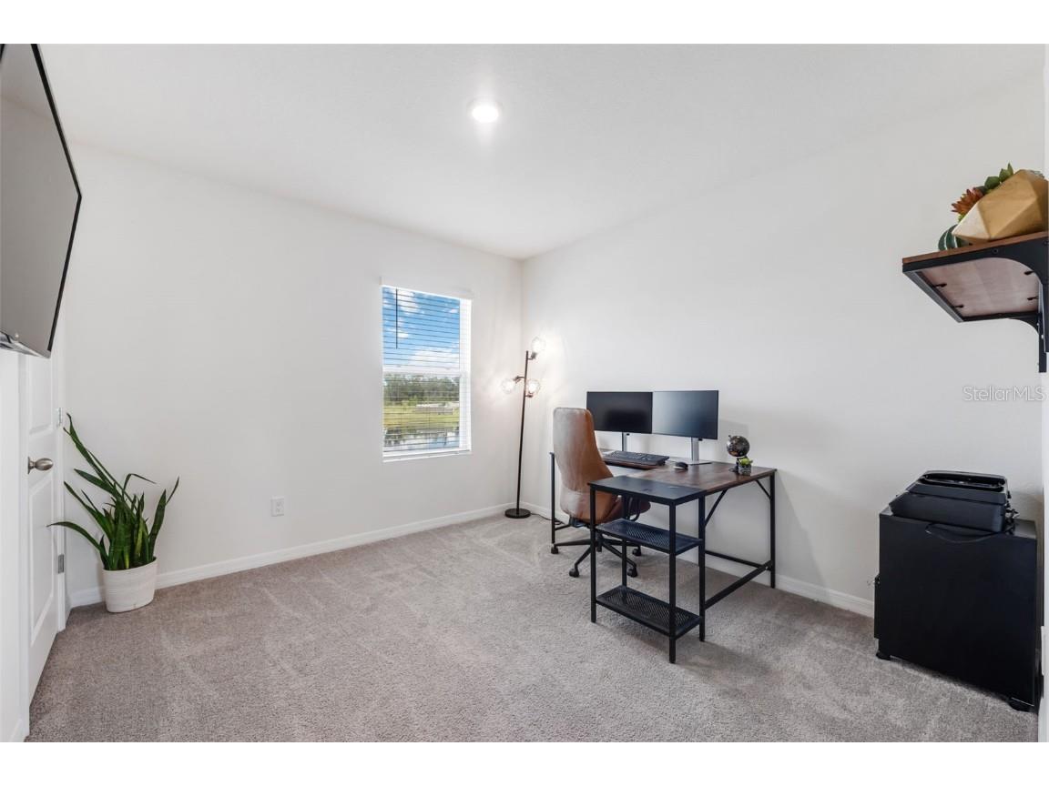 30935 Penny Surf Loop Wesley Chapel FL 33545 W7879248 image38