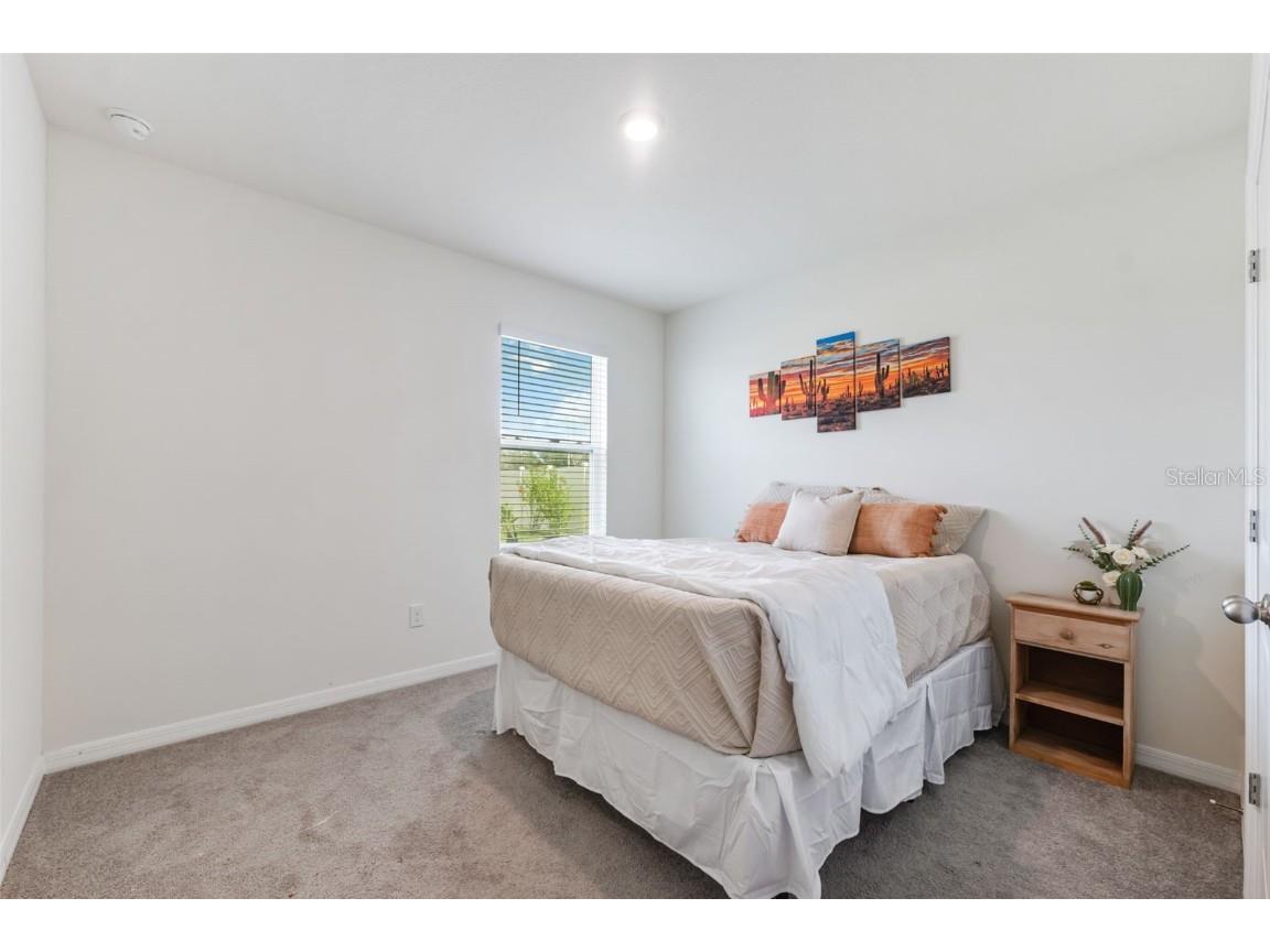 30935 Penny Surf Loop Wesley Chapel FL 33545 W7879248 image41