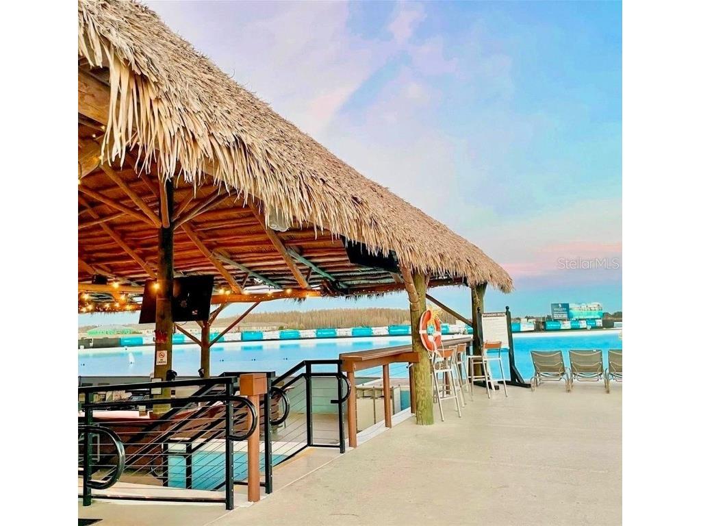 30935 Penny Surf Loop Wesley Chapel FL 33545 W7879248 image68