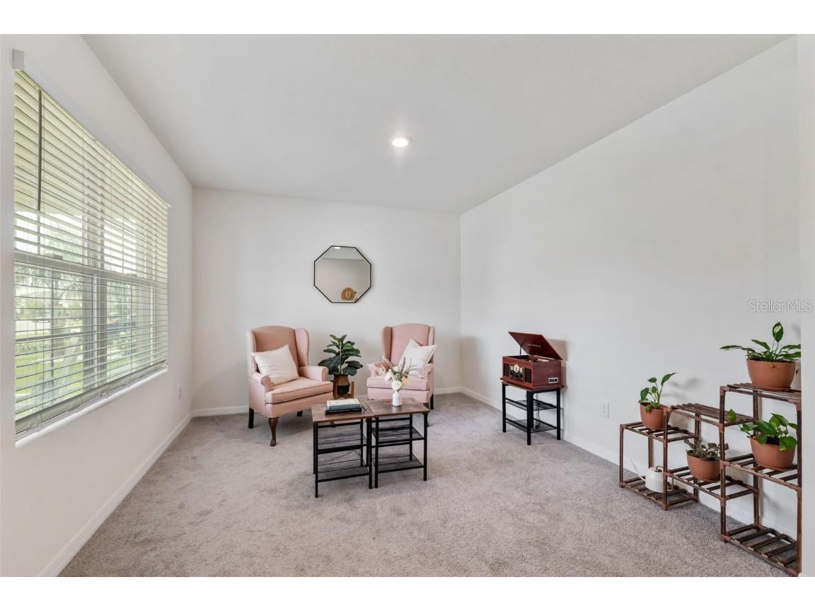 30935 Penny Surf Loop Wesley Chapel FL 33545 W7879248 image9