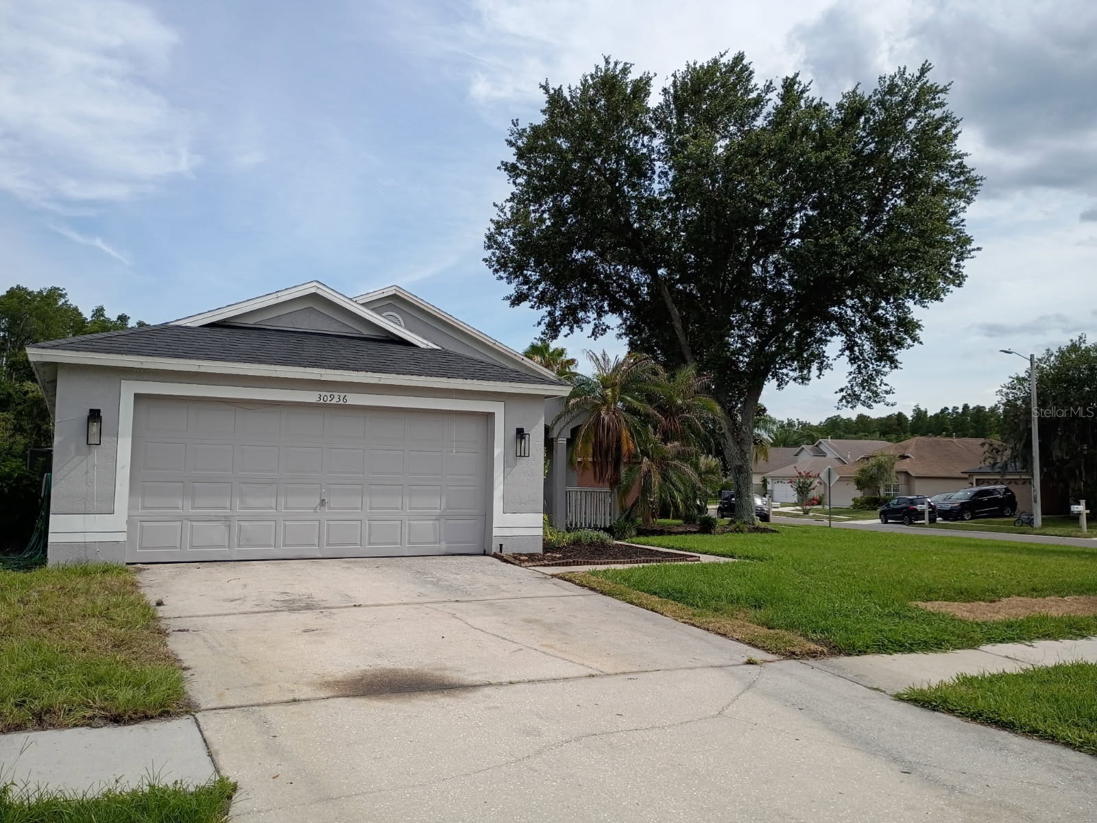 30936 Burleigh Drive Wesley Chapel FL 33543 TB8526346 image1