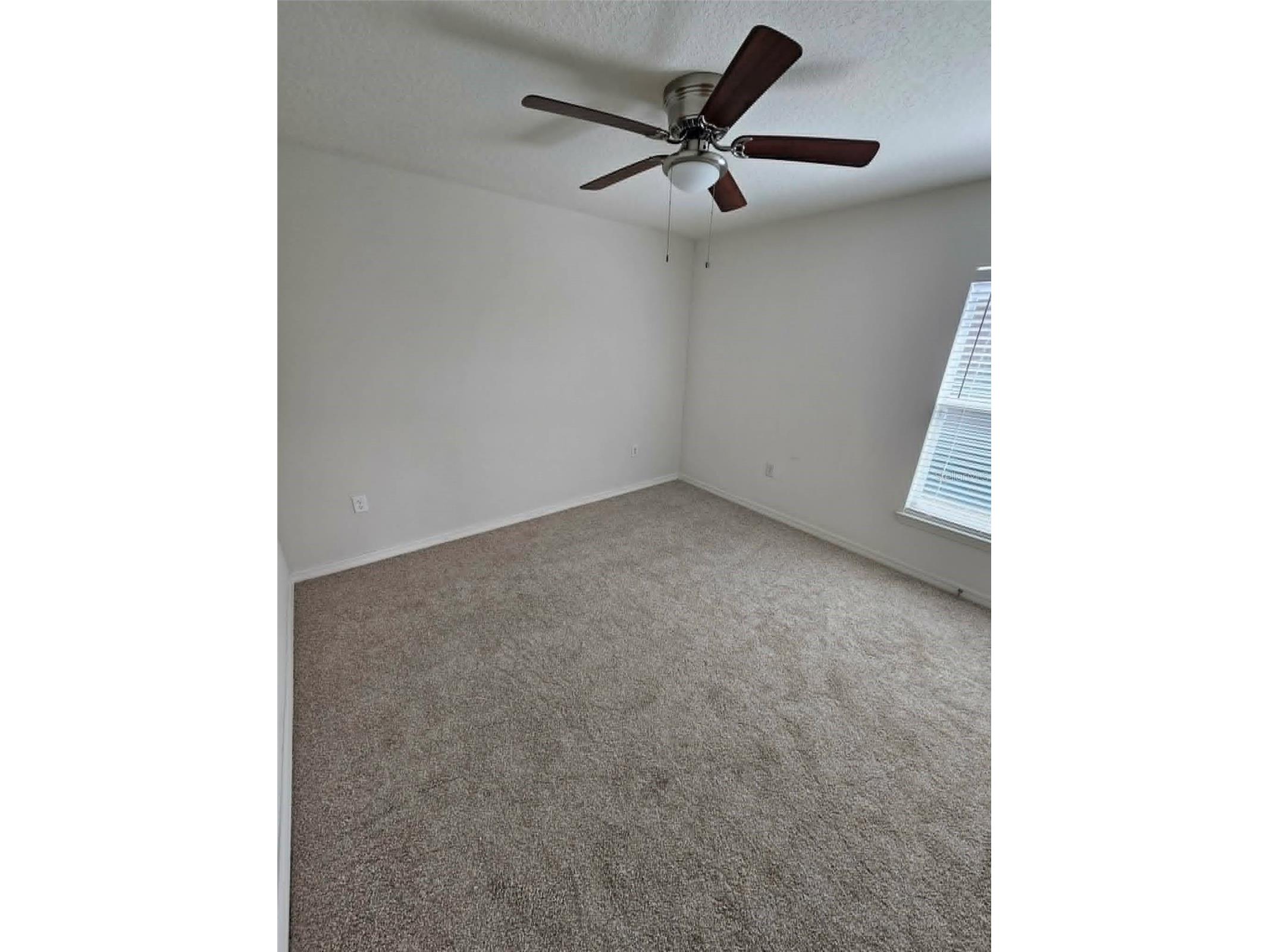 30939 Water Lily Drive Brooksville FL 34602 W7885346 image16