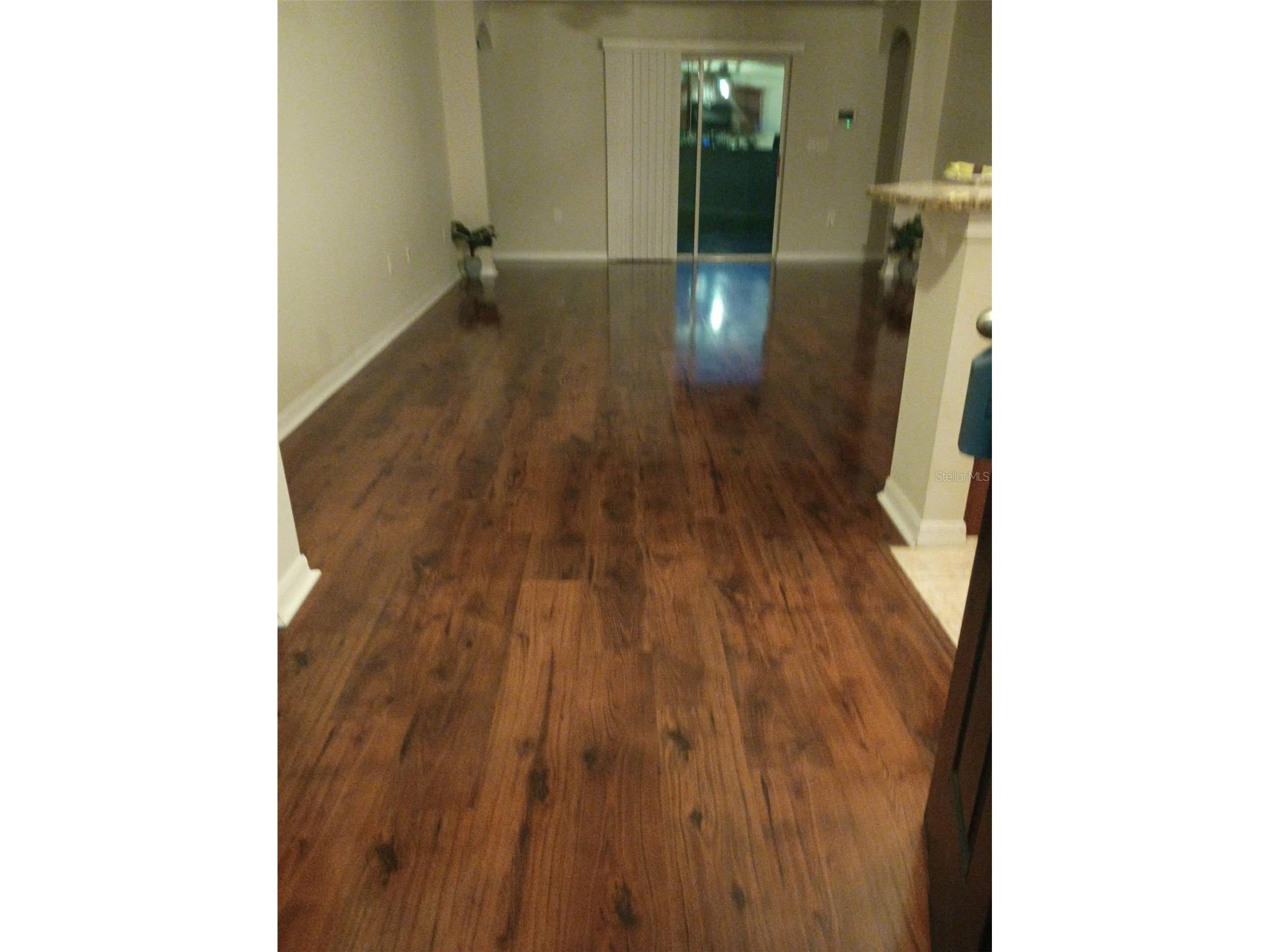 30939 Water Lily Drive Brooksville FL 34602 W7885346 image8