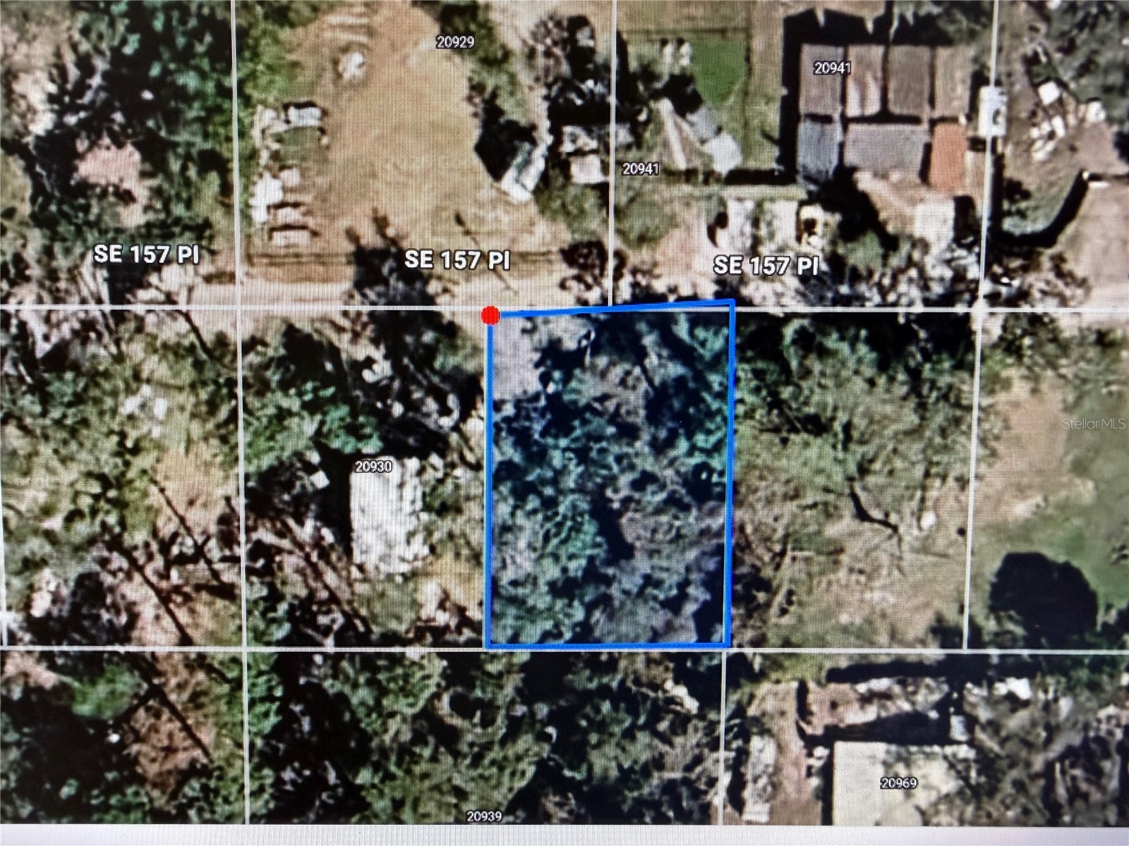30942 157th Pl Umatilla FL 32784 P4938175 image3