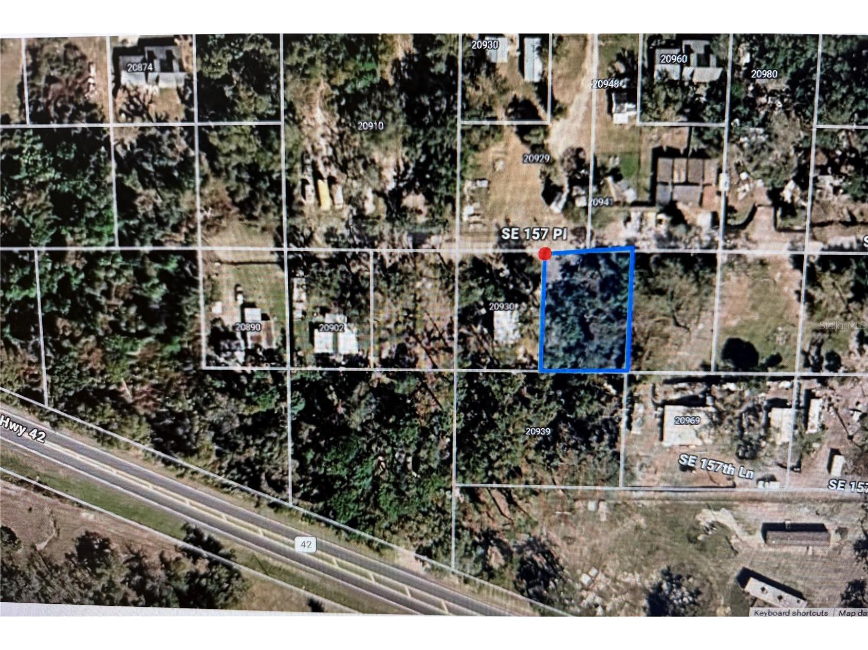 30942 157th Pl Umatilla FL 32784 P4938175 image4