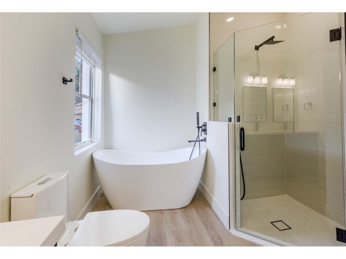 30942 Baclan Drive Wesley Chapel FL 33545 O6363417 image5