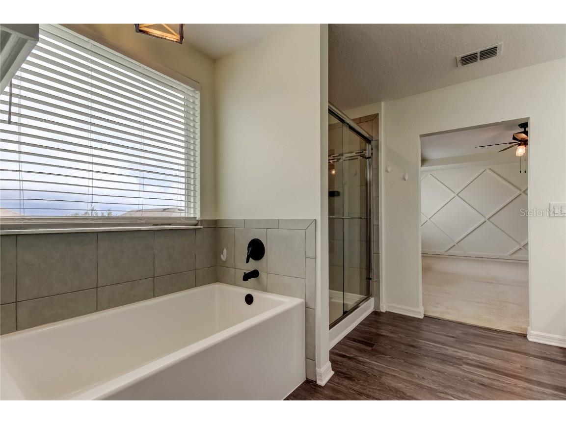 30943 Parrot Reef Court Wesley Chapel FL 33545 TB8421044 image48