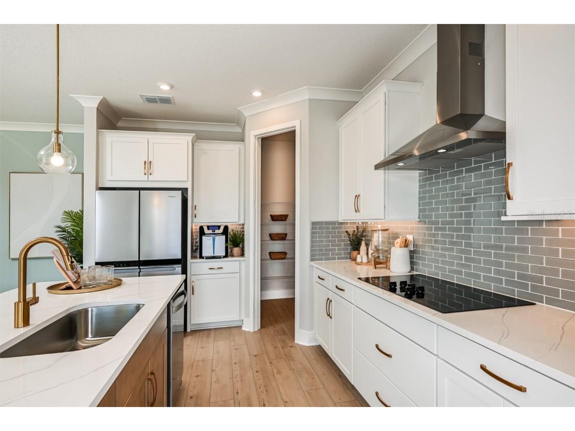 30943 Pendleton Landing Circle Wesley Chapel FL 33545 TB8452966 image6