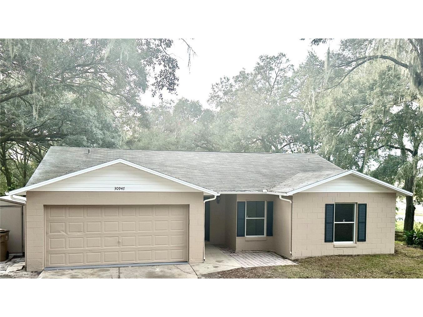 30947 Vista Vw Avenue Mount Dora FL 32757 O6165430 image1