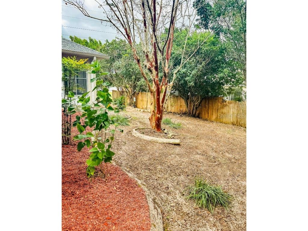 3095 Coronet Court Spring Hill FL 34609 TB8387823 image38