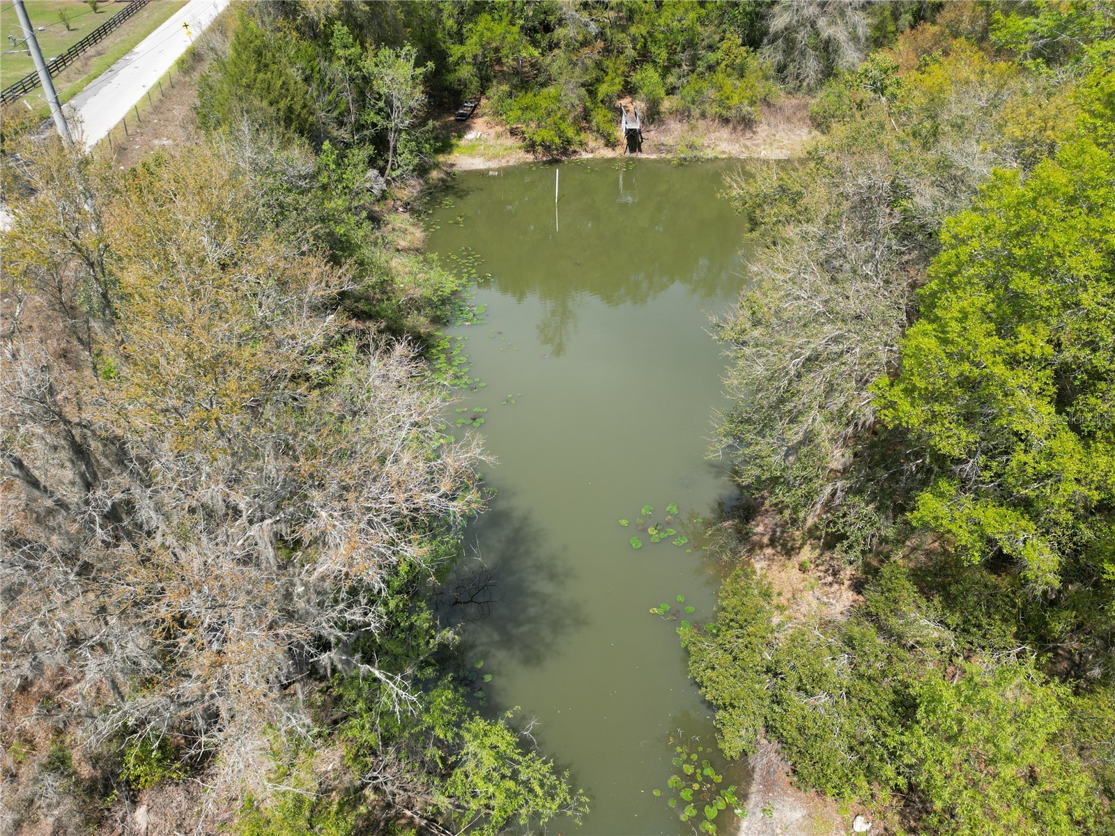 3095 County Road 202 Oxford FL 34484 GC538922 image10