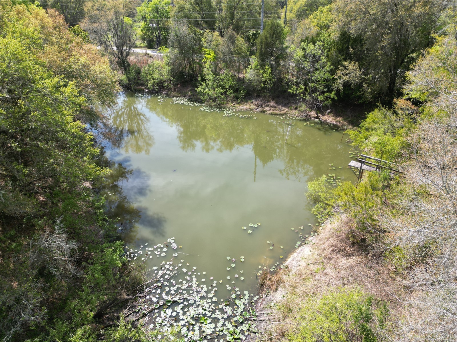 3095 County Road 202 Oxford FL 34484 GC538922 image2