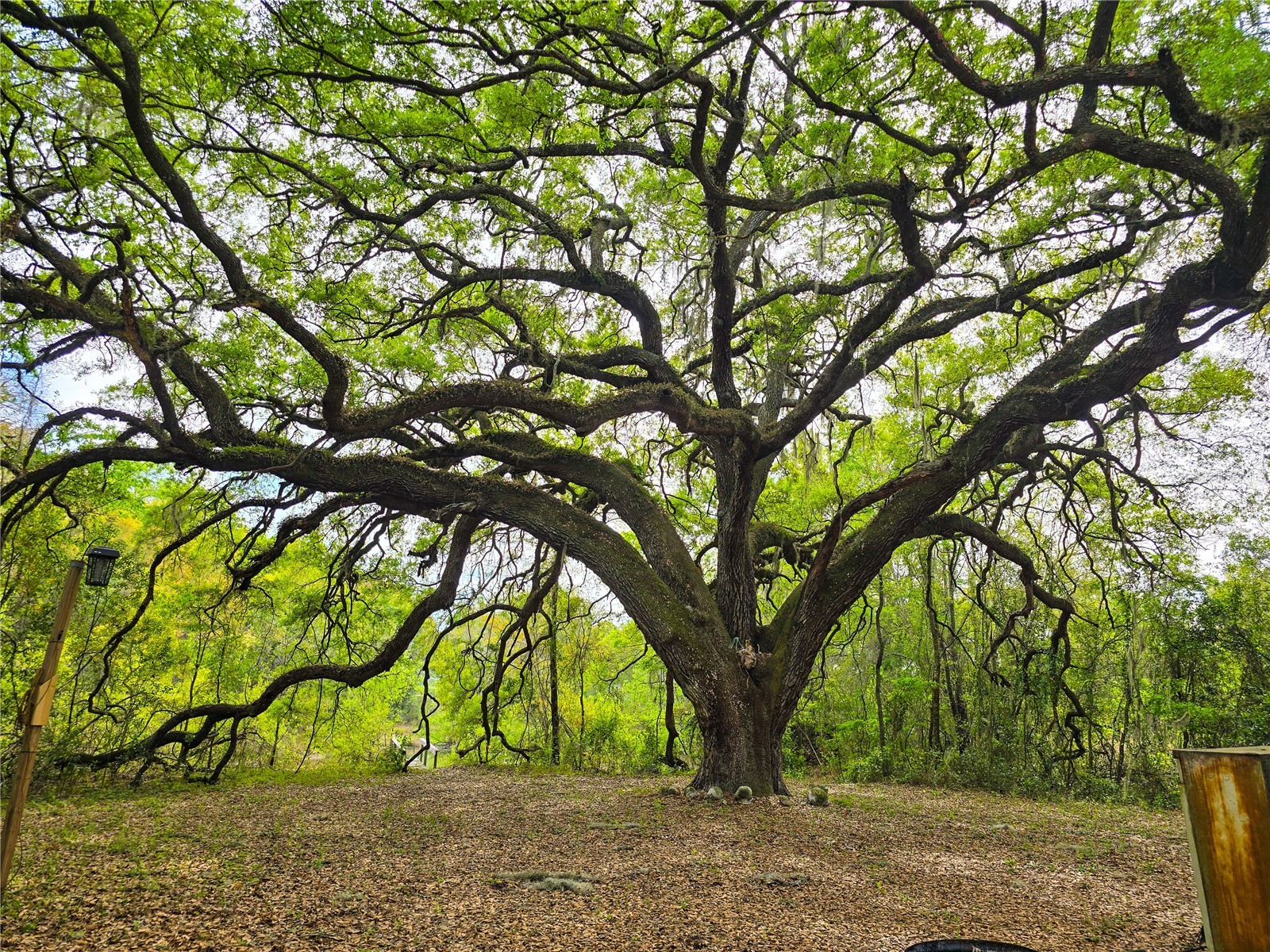 3095 County Road 202 Oxford FL 34484 GC538922 image3