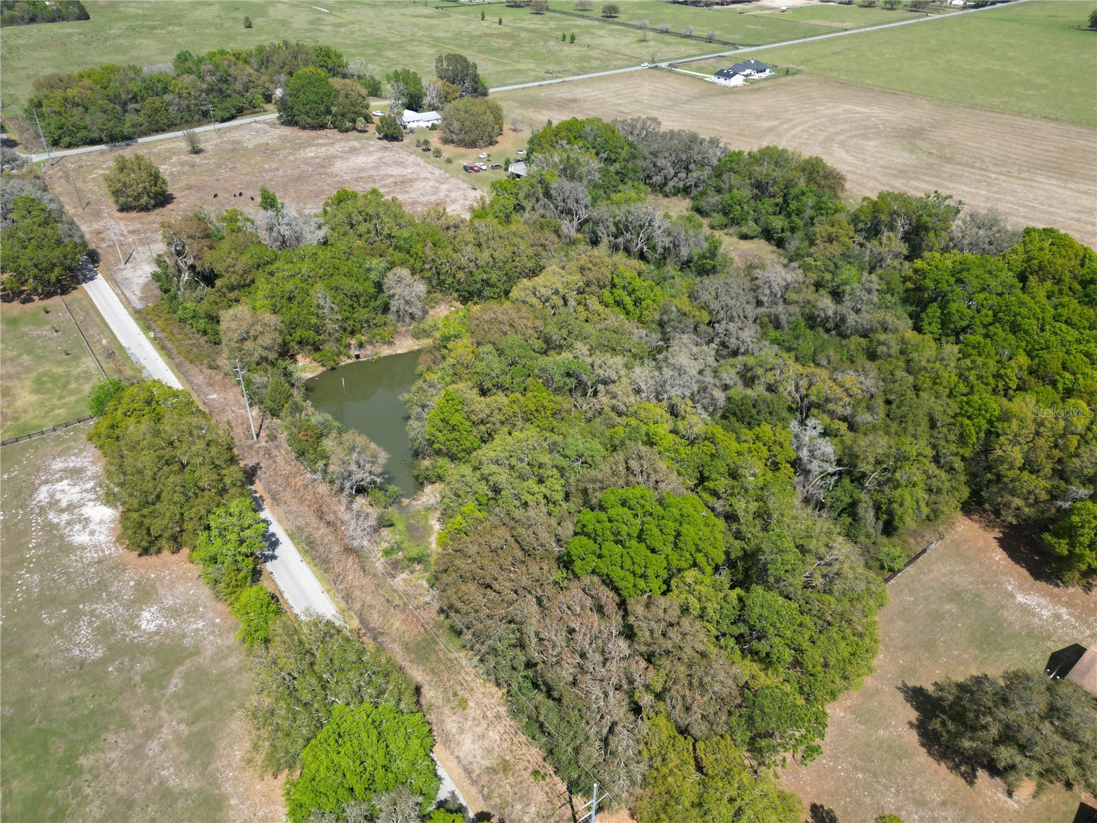 3095 County Road 202 Oxford FL 34484 GC538922 image5