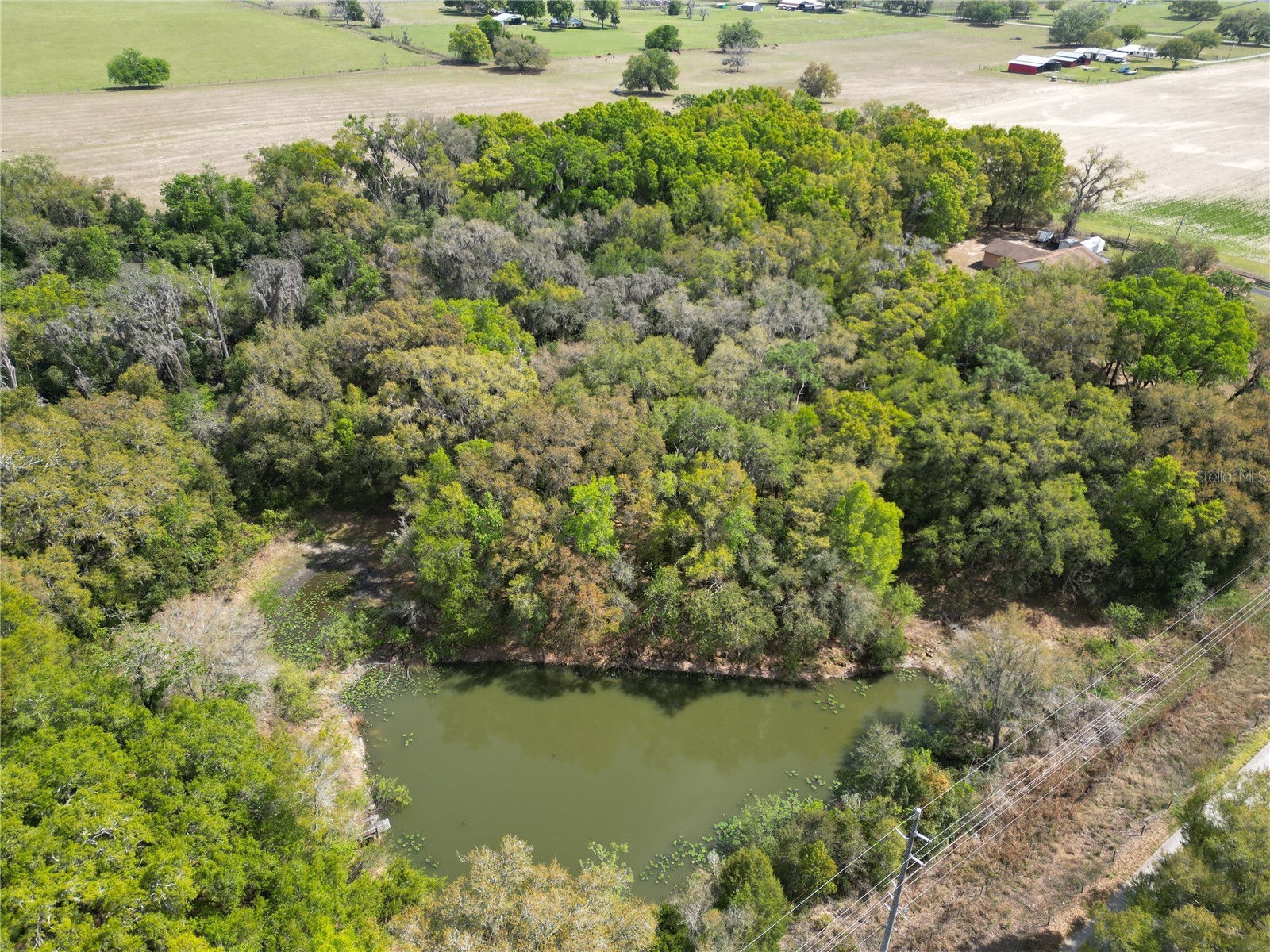 3095 County Road 202 Oxford FL 34484 GC538922 image6