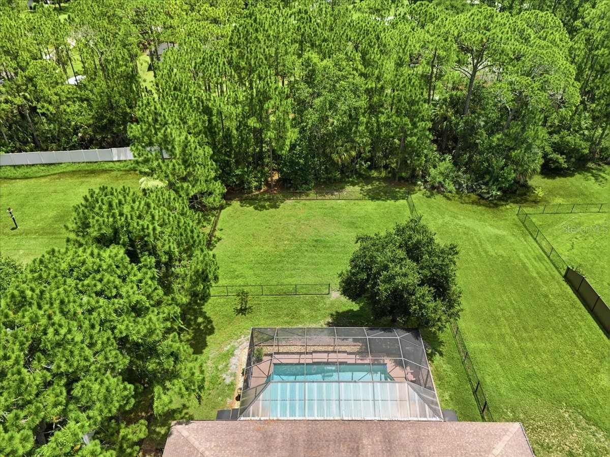 3095 Fawn Lake Boulevard Mims FL 32754 O6423034 image12