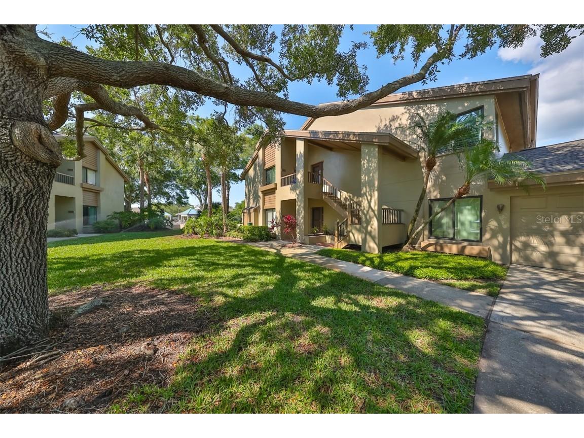3095 Landmark Boulevard #2005 Palm Harbor FL 34684 TB8428271 image1