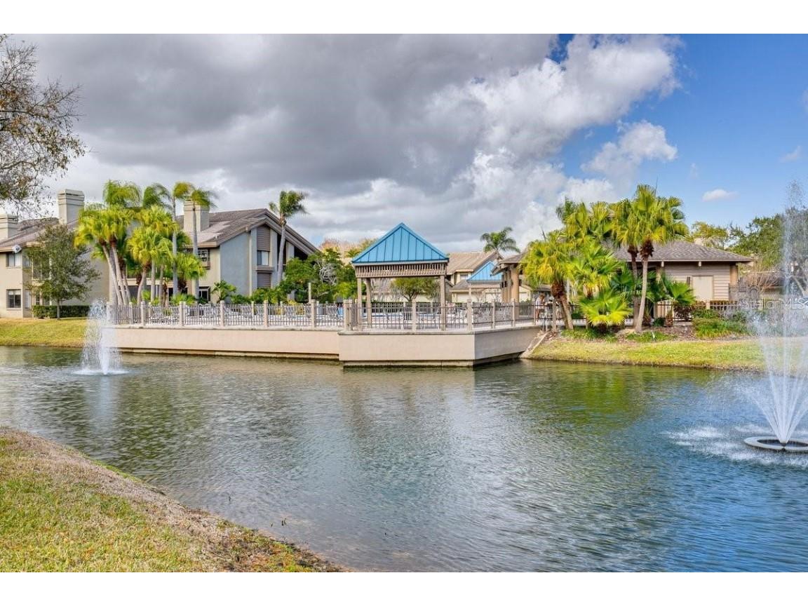 3095 Landmark Boulevard #2005 Palm Harbor FL 34684 TB8428271 image25