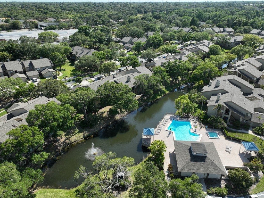 3095 Landmark Boulevard #2005 Palm Harbor FL 34684 TB8428271 image26