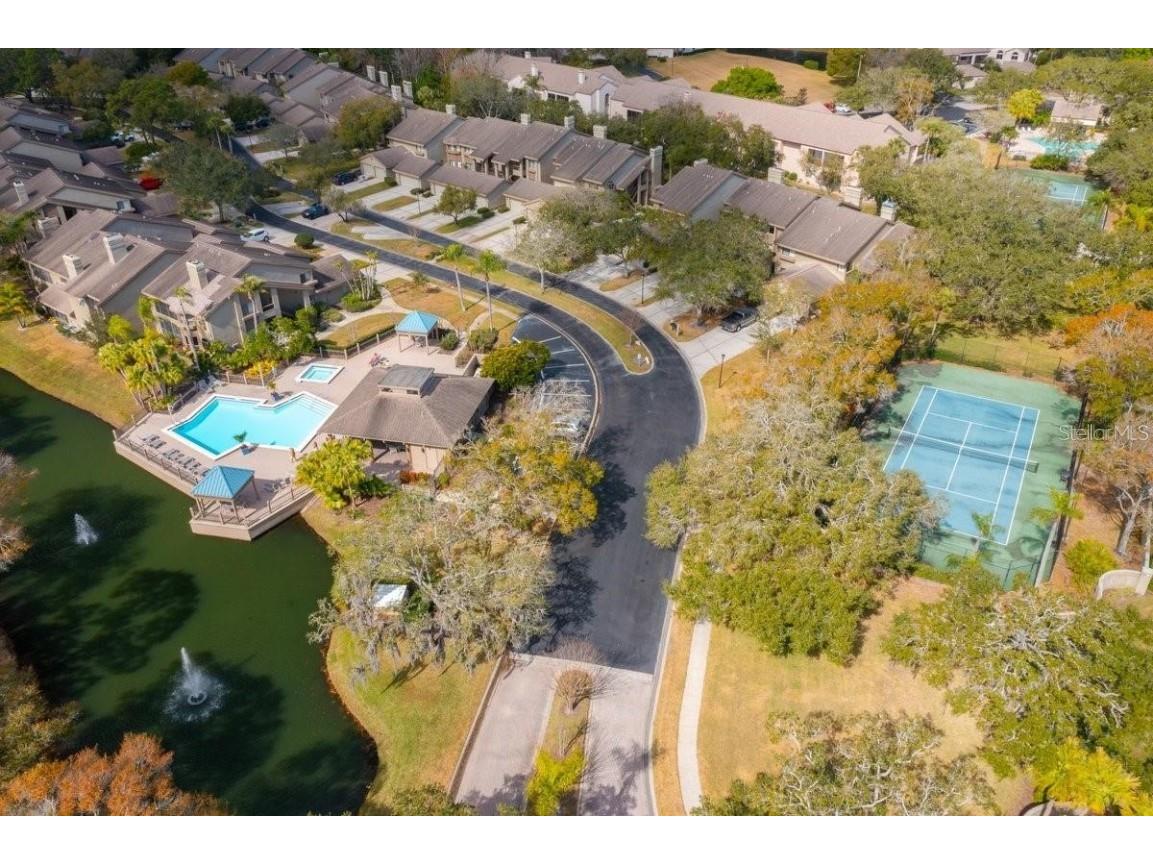 3095 Landmark Boulevard #2005 Palm Harbor FL 34684 TB8428271 image27