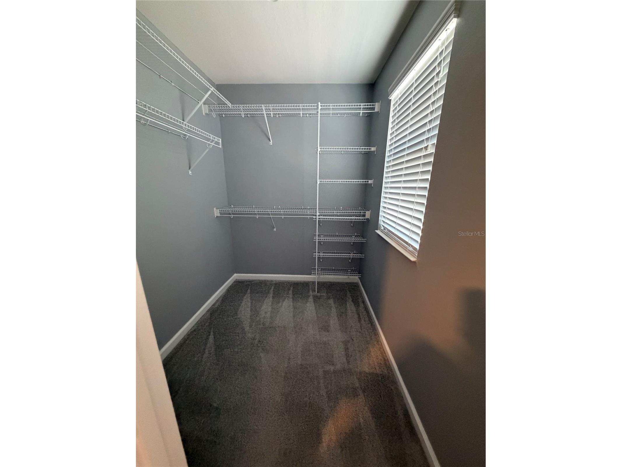 3095 Paddlebox Point Oviedo FL 32765 O6424701 image18
