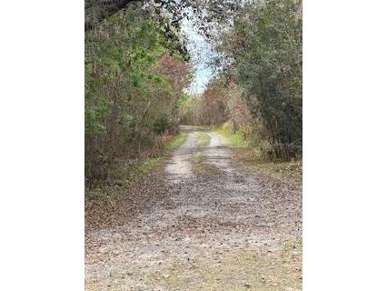 3095 Pastures Road Kissimmee FL 34746 S5144933 image24