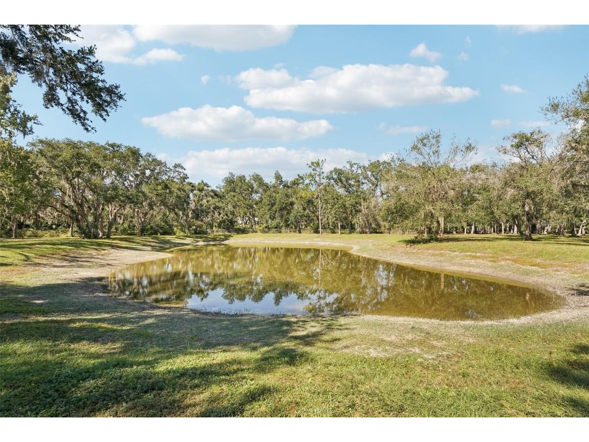 30950 Mossy Oak Terrace Myakka City FL 34251 A4671979 image48