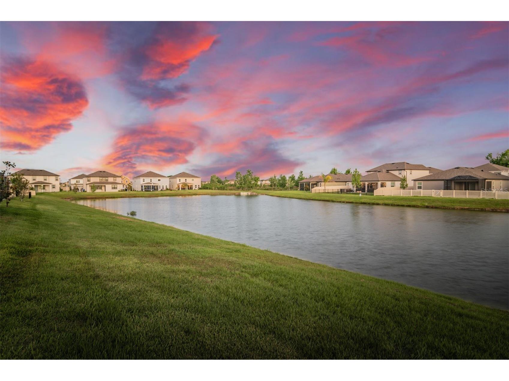 30950 Parrot Reef Court Wesley Chapel FL 33545 TB8497829 image4