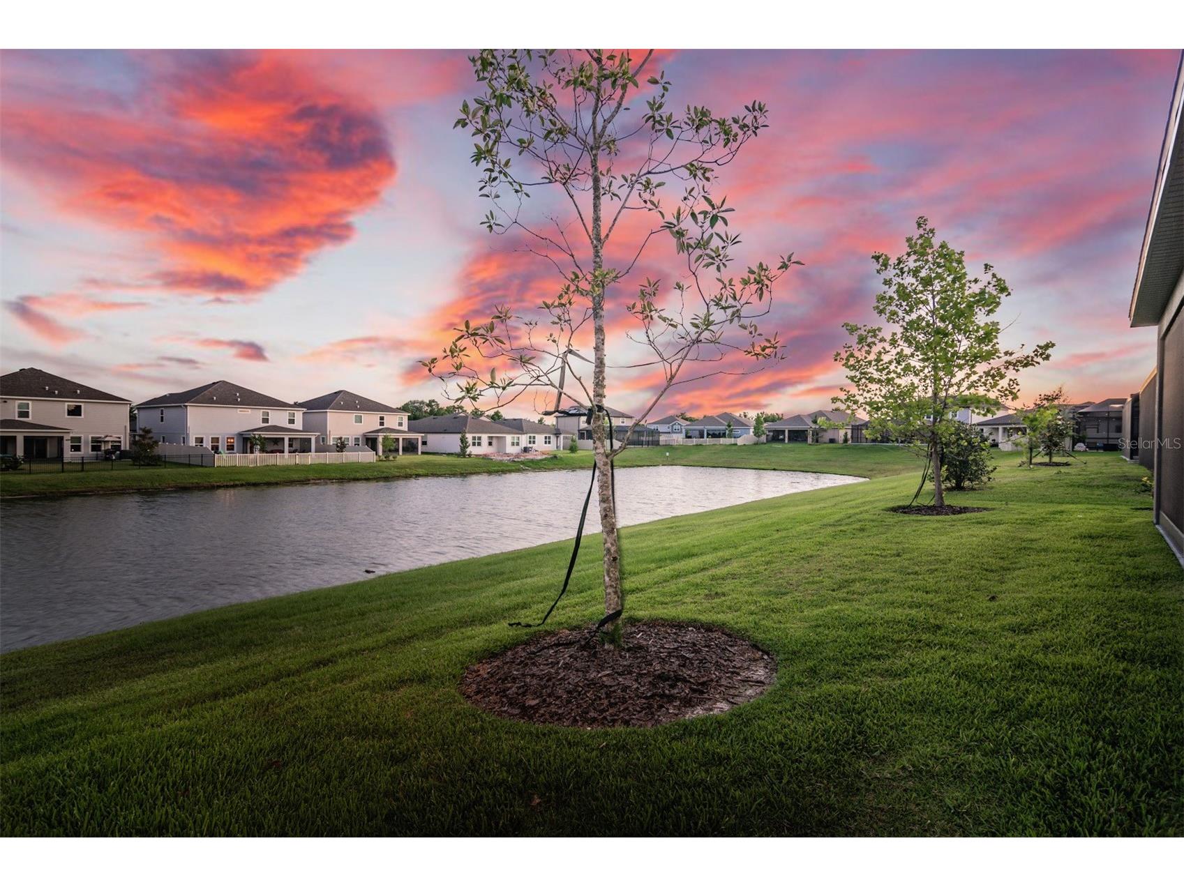 30950 Parrot Reef Court Wesley Chapel FL 33545 TB8497829 image7