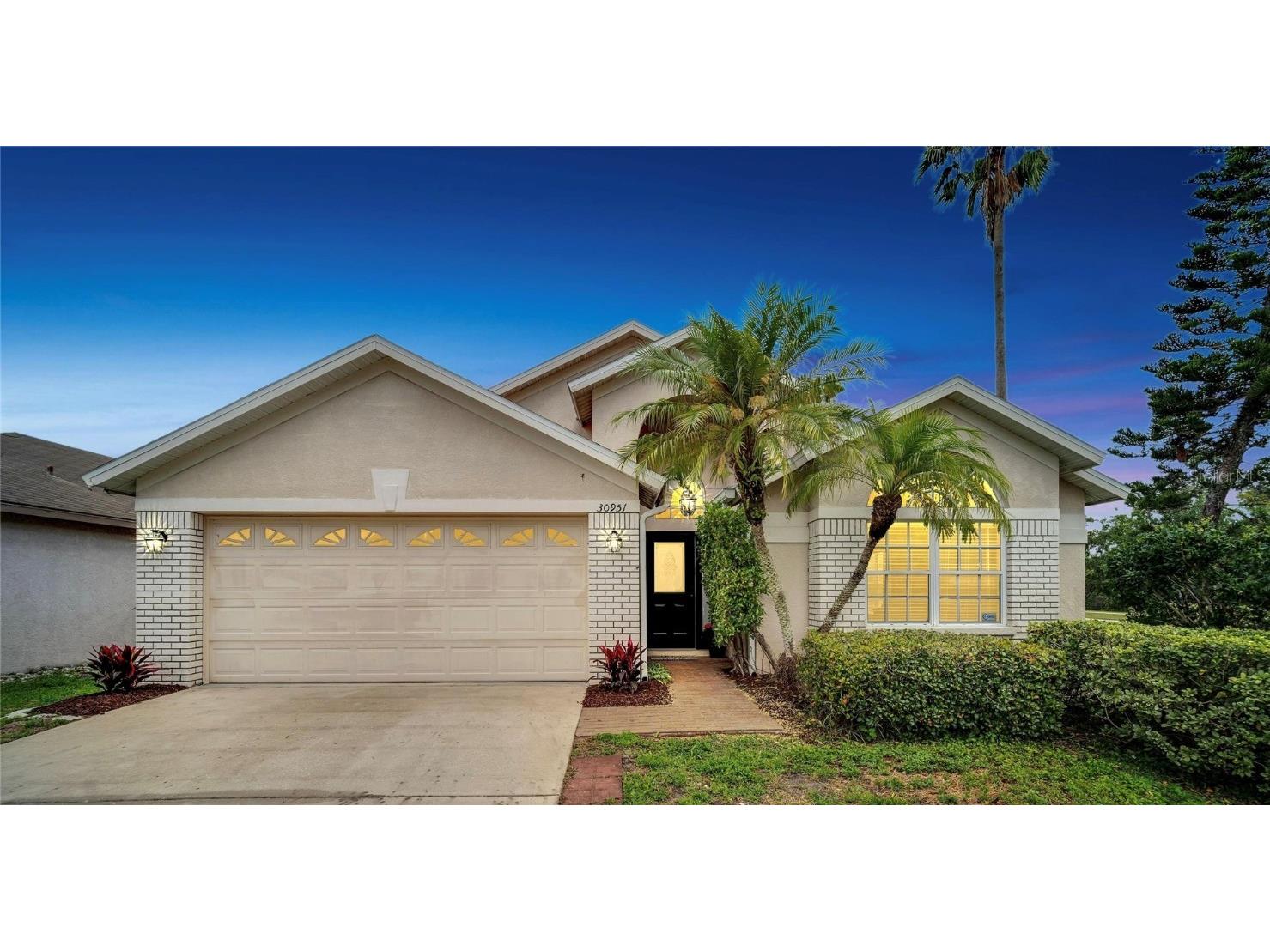 30951 Burleigh Drive Wesley Chapel FL 33543 T3442510 image1