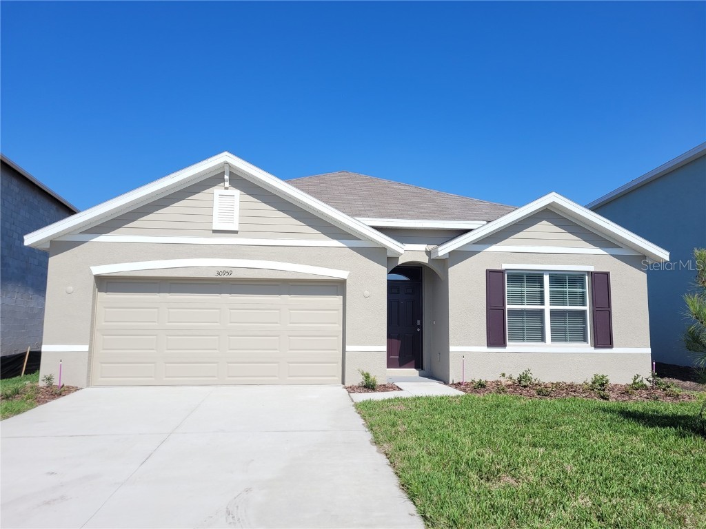 30959 Penny Surf Loop Wesley Chapel FL 33545 T3502283 image1