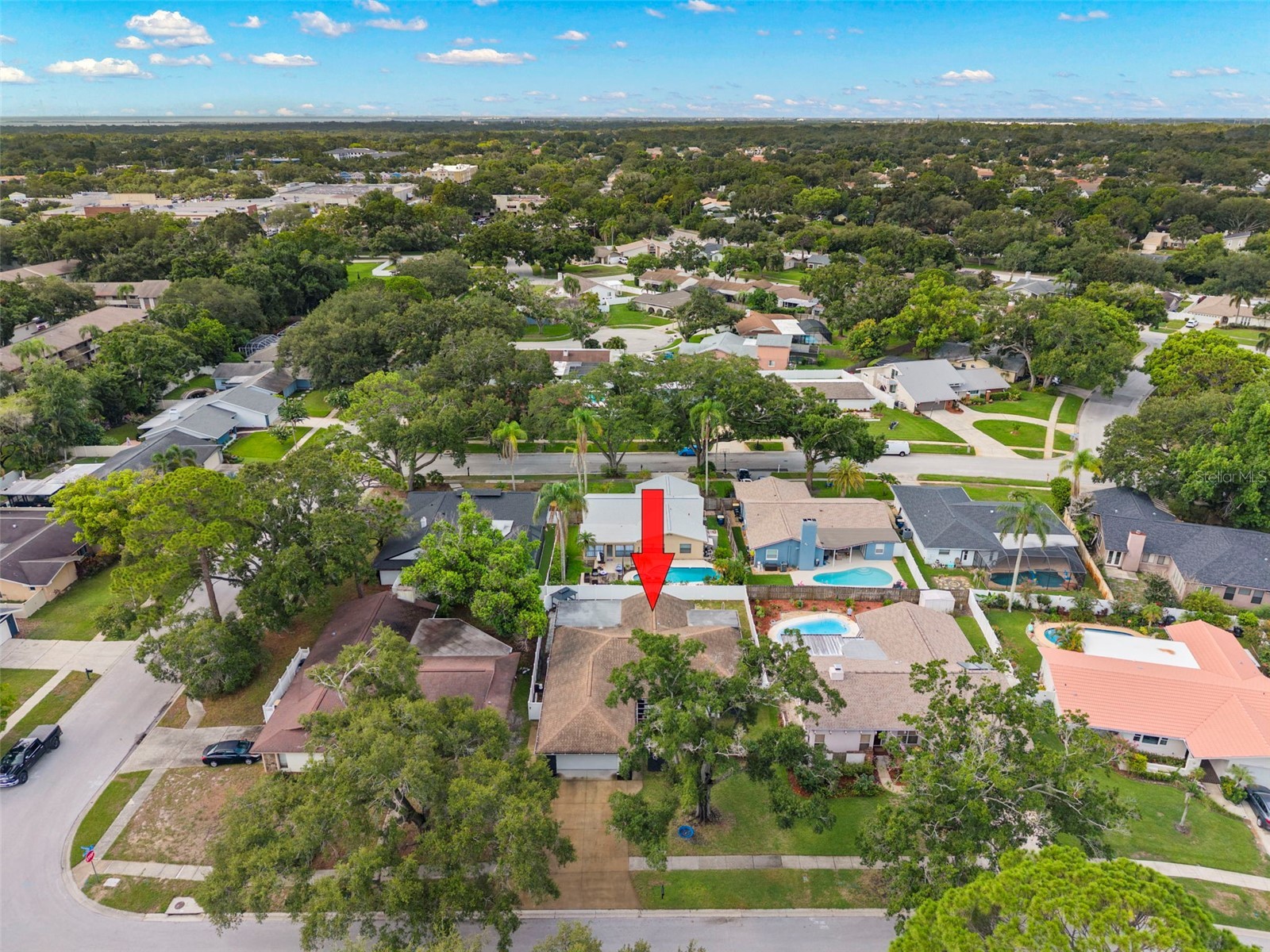 3097 Haverford Drive Clearwater FL 33761 TB8530649 image40