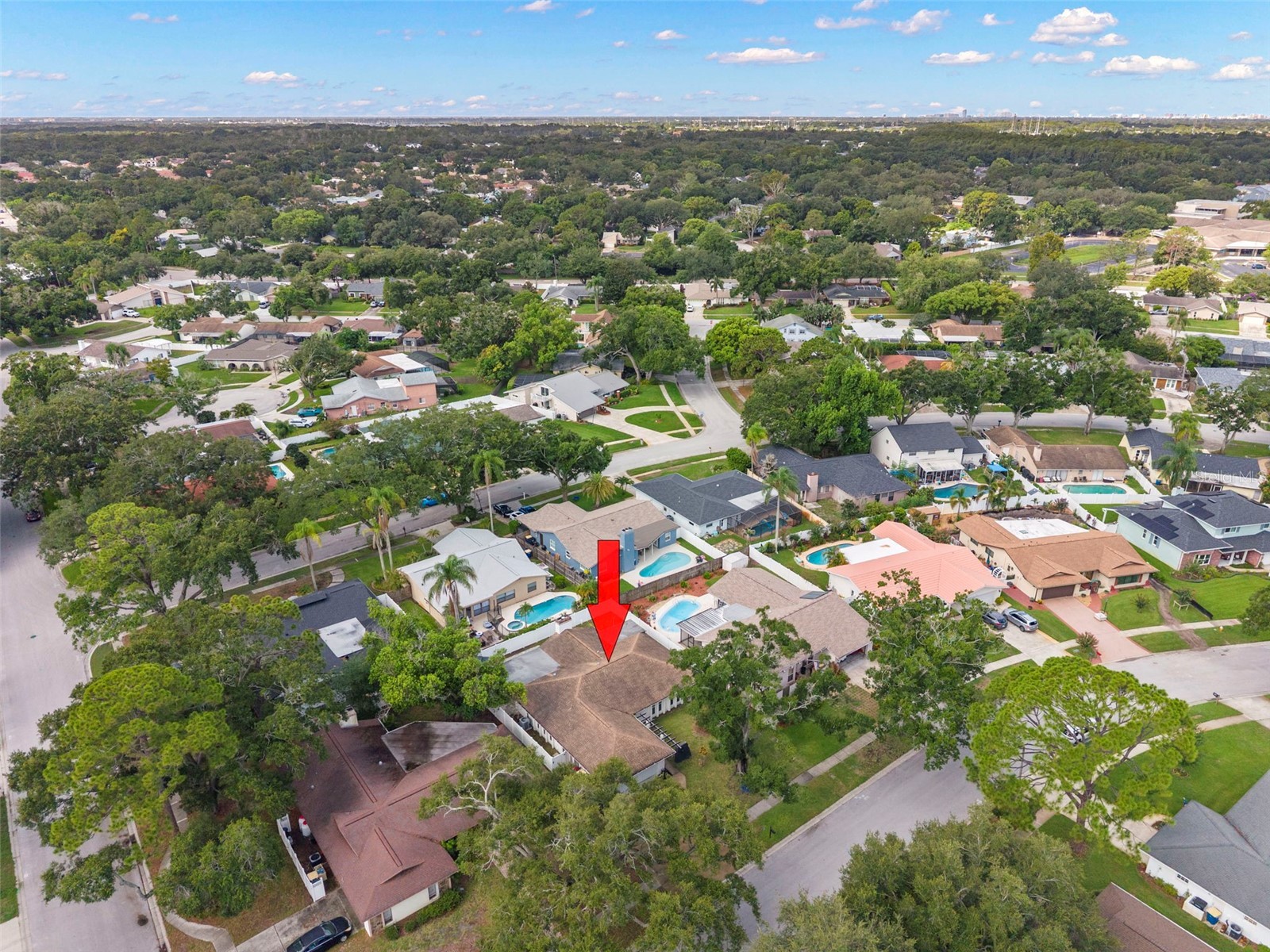 3097 Haverford Drive Clearwater FL 33761 TB8530649 image41