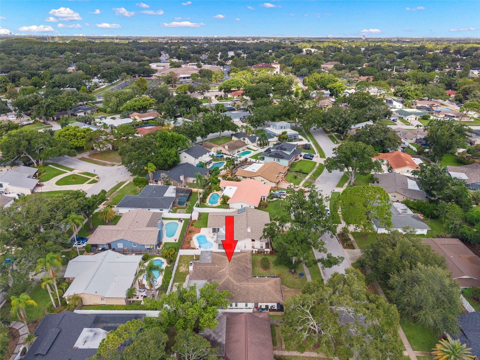 3097 Haverford Drive Clearwater FL 33761 TB8530649 image42