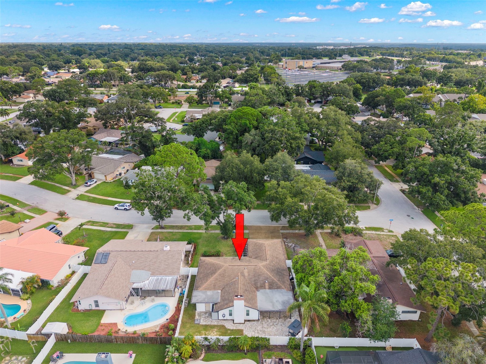 3097 Haverford Drive Clearwater FL 33761 TB8530649 image43