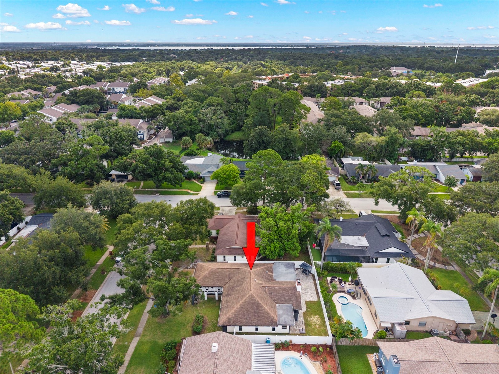 3097 Haverford Drive Clearwater FL 33761 TB8530649 image44