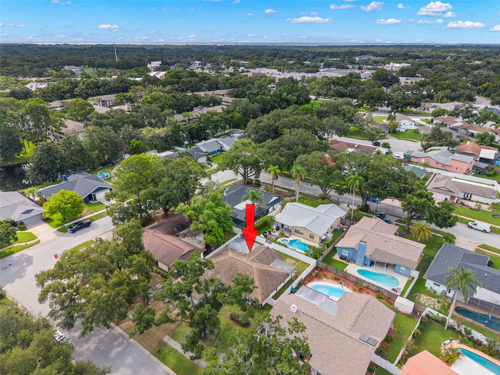 3097 Haverford Drive Clearwater FL 33761 TB8530649 image45