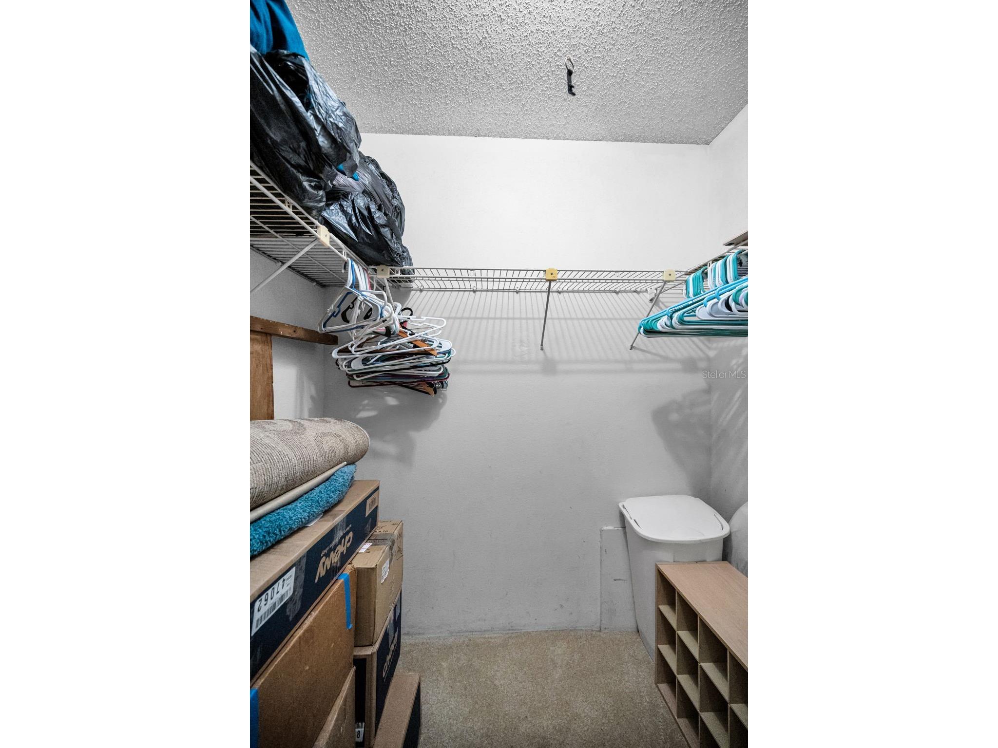 3097 Mission Grove Drive Palm Harbor FL 34684 TB8525428 image26