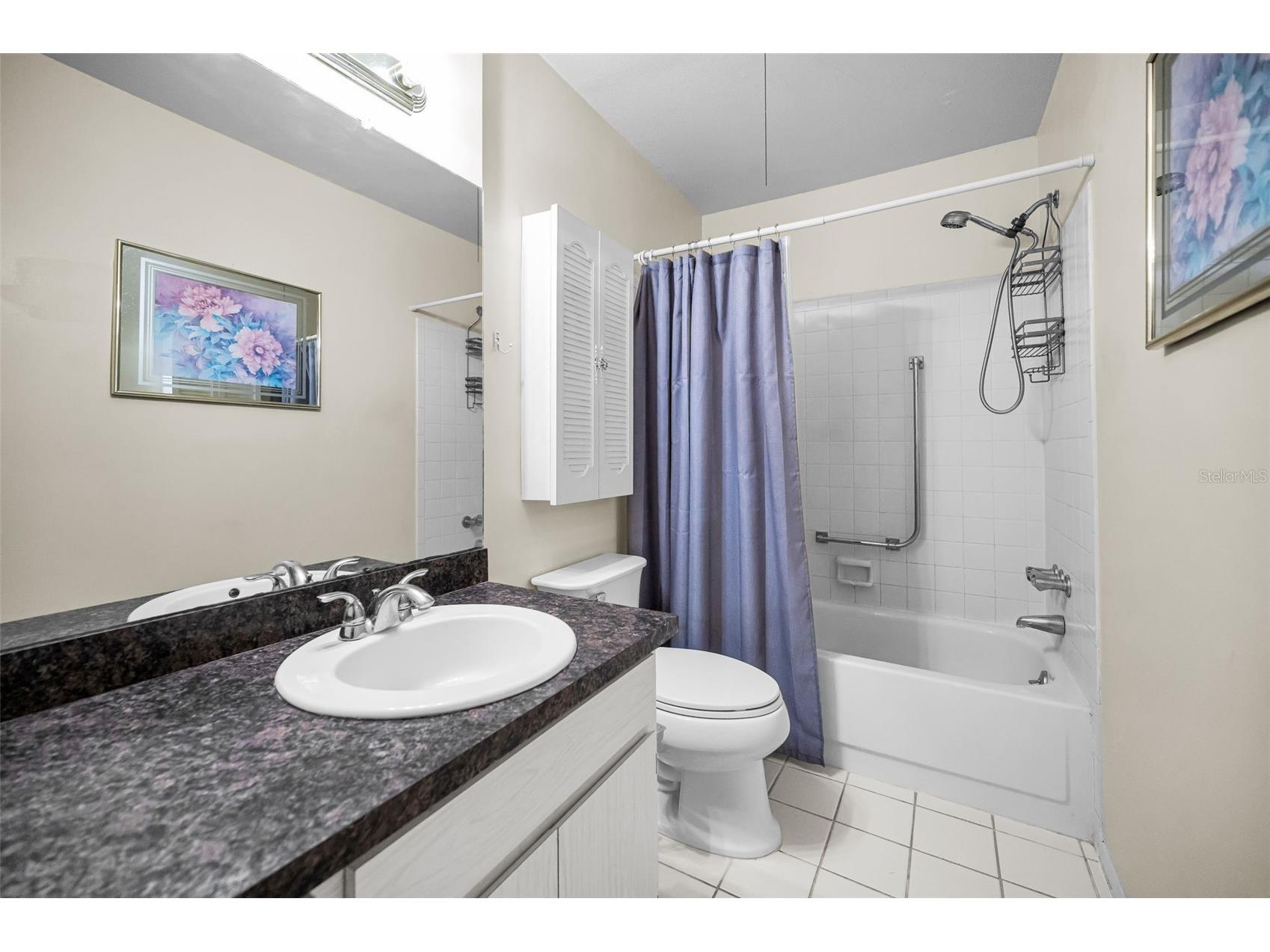 3097 Mission Grove Drive Palm Harbor FL 34684 TB8525428 image27