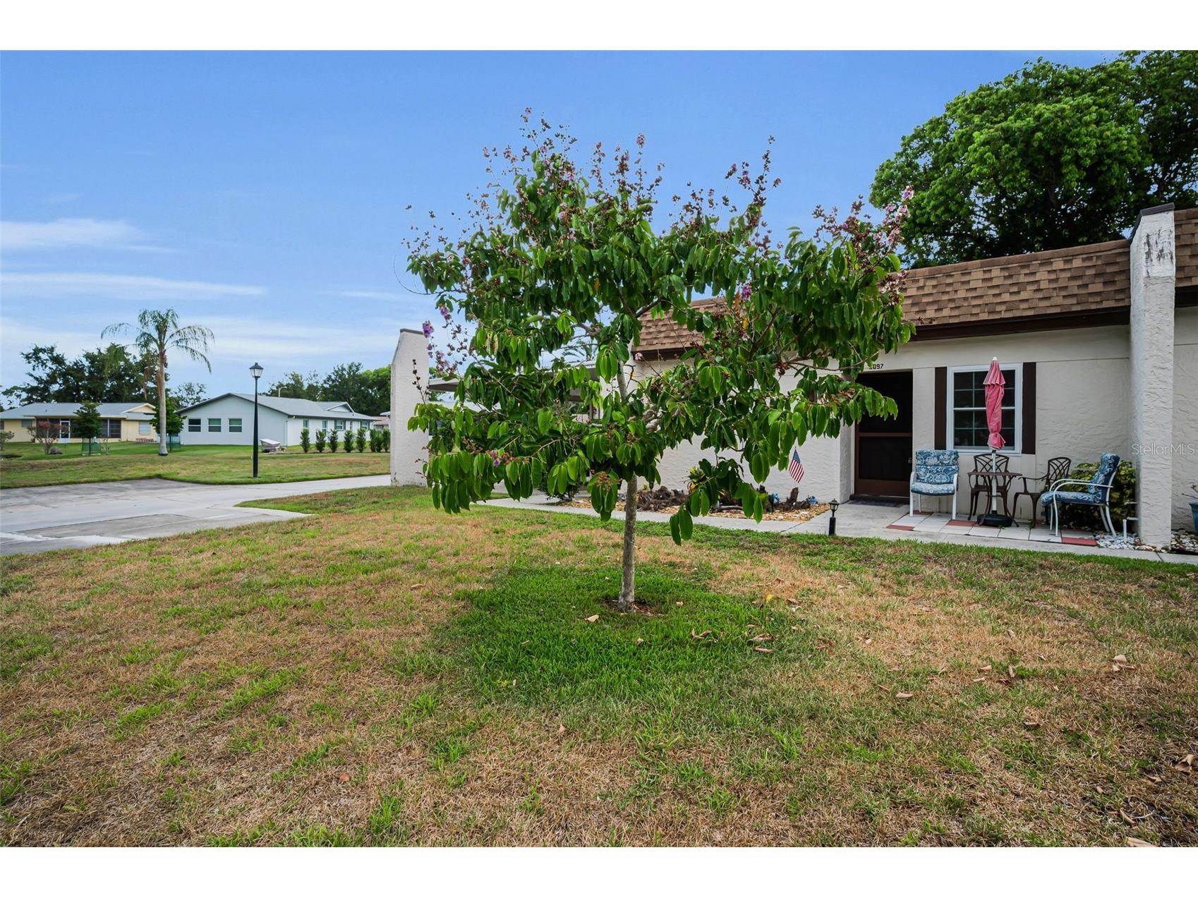 3097 Mission Grove Drive Palm Harbor FL 34684 TB8525428 image3
