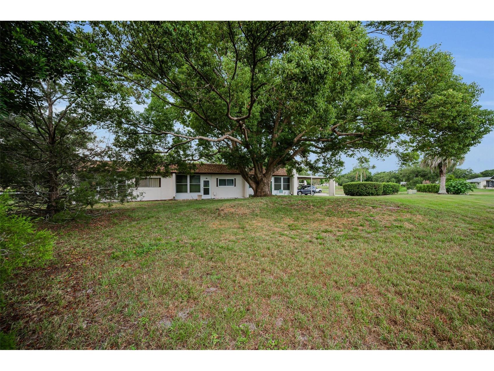 3097 Mission Grove Drive Palm Harbor FL 34684 TB8525428 image37
