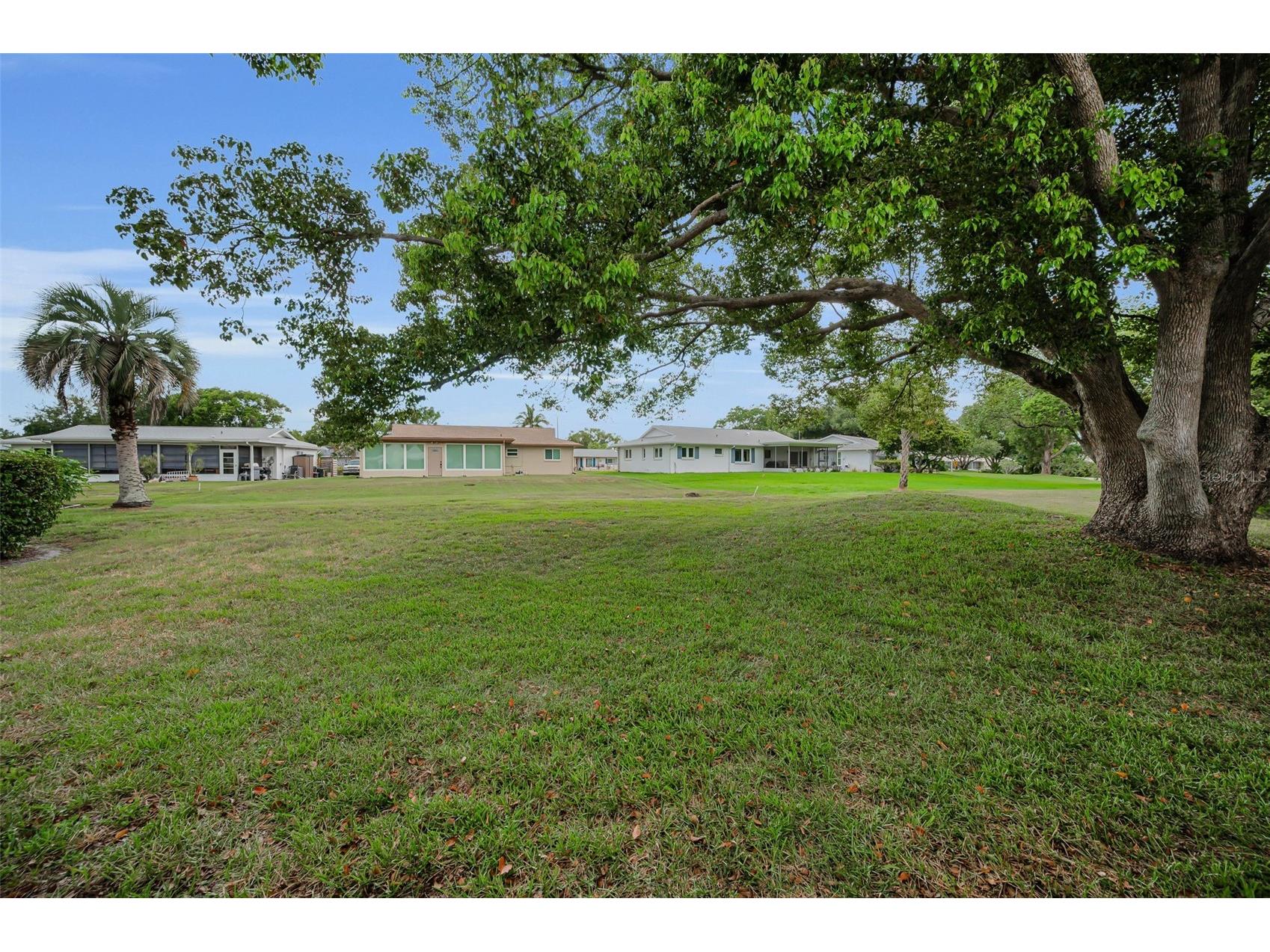 3097 Mission Grove Drive Palm Harbor FL 34684 TB8525428 image38