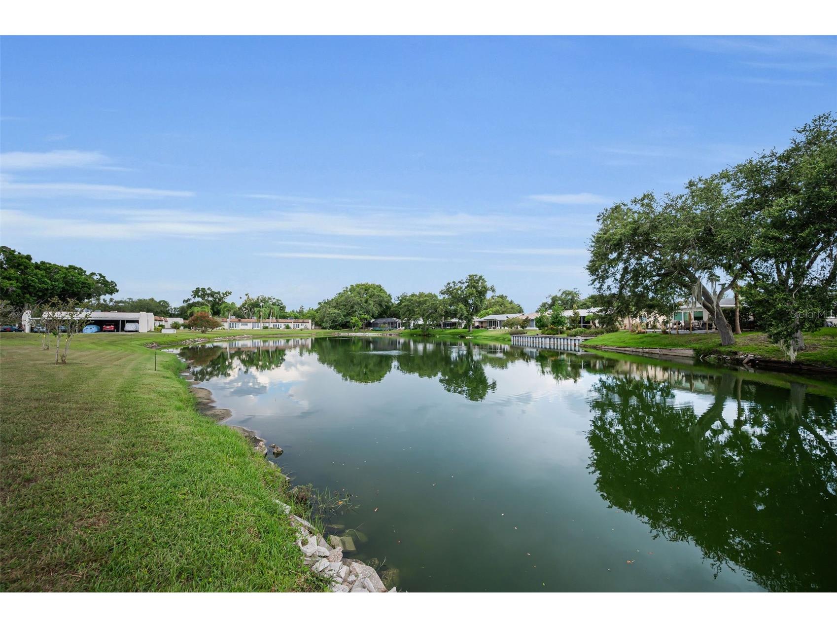 3097 Mission Grove Drive Palm Harbor FL 34684 TB8525428 image4