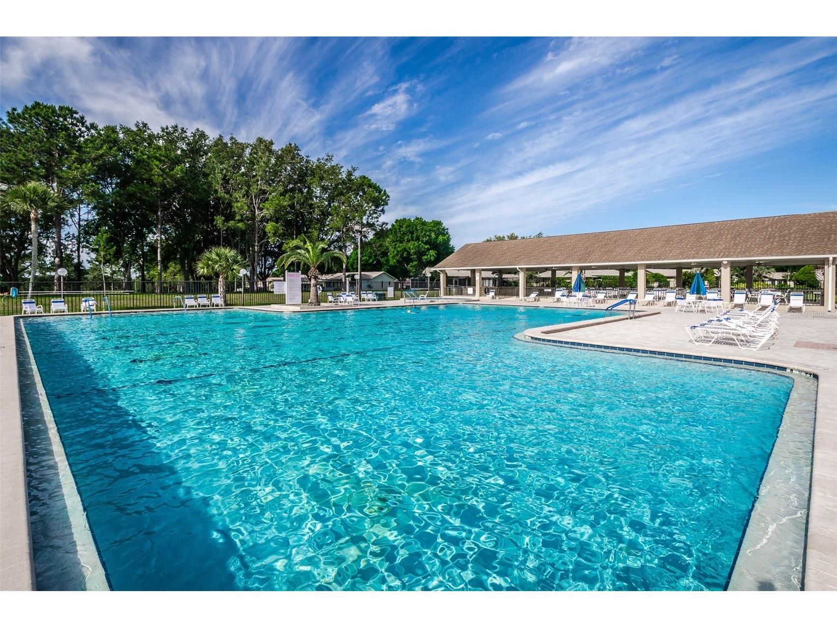 3097 Mission Grove Drive Palm Harbor FL 34684 TB8525428 image47