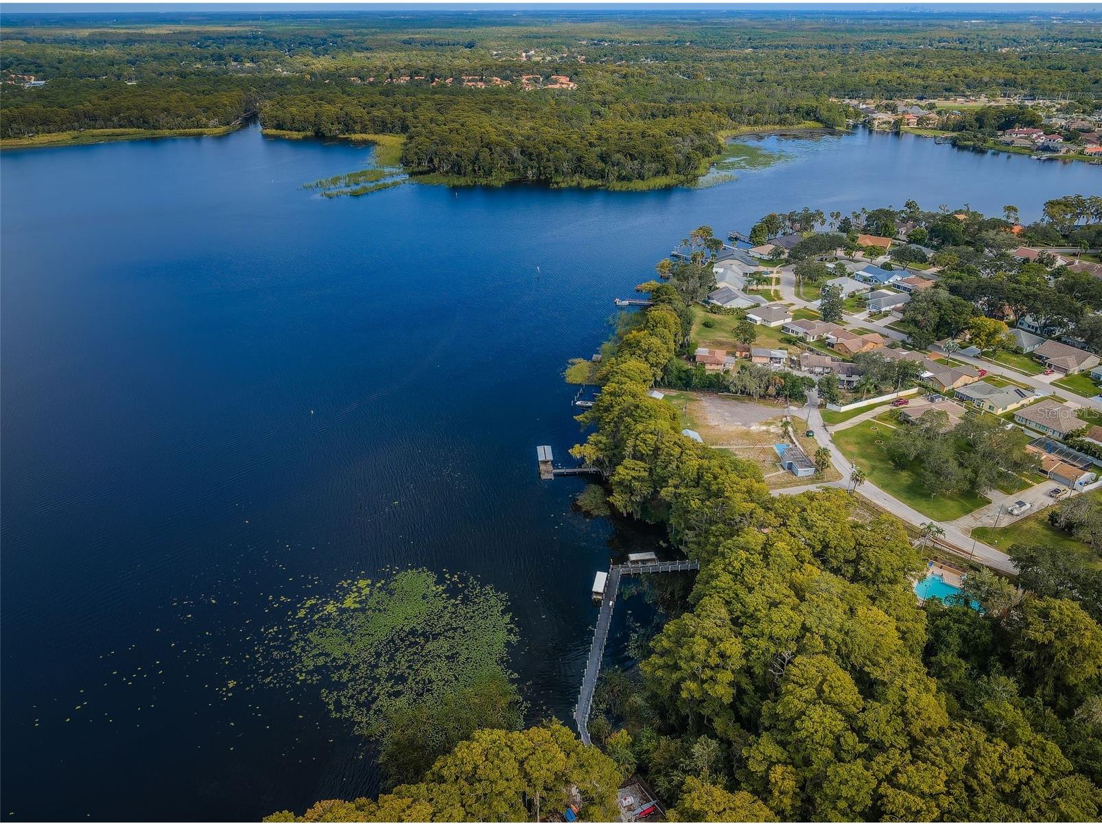 3097 Mission Grove Drive Palm Harbor FL 34684 TB8525428 image70