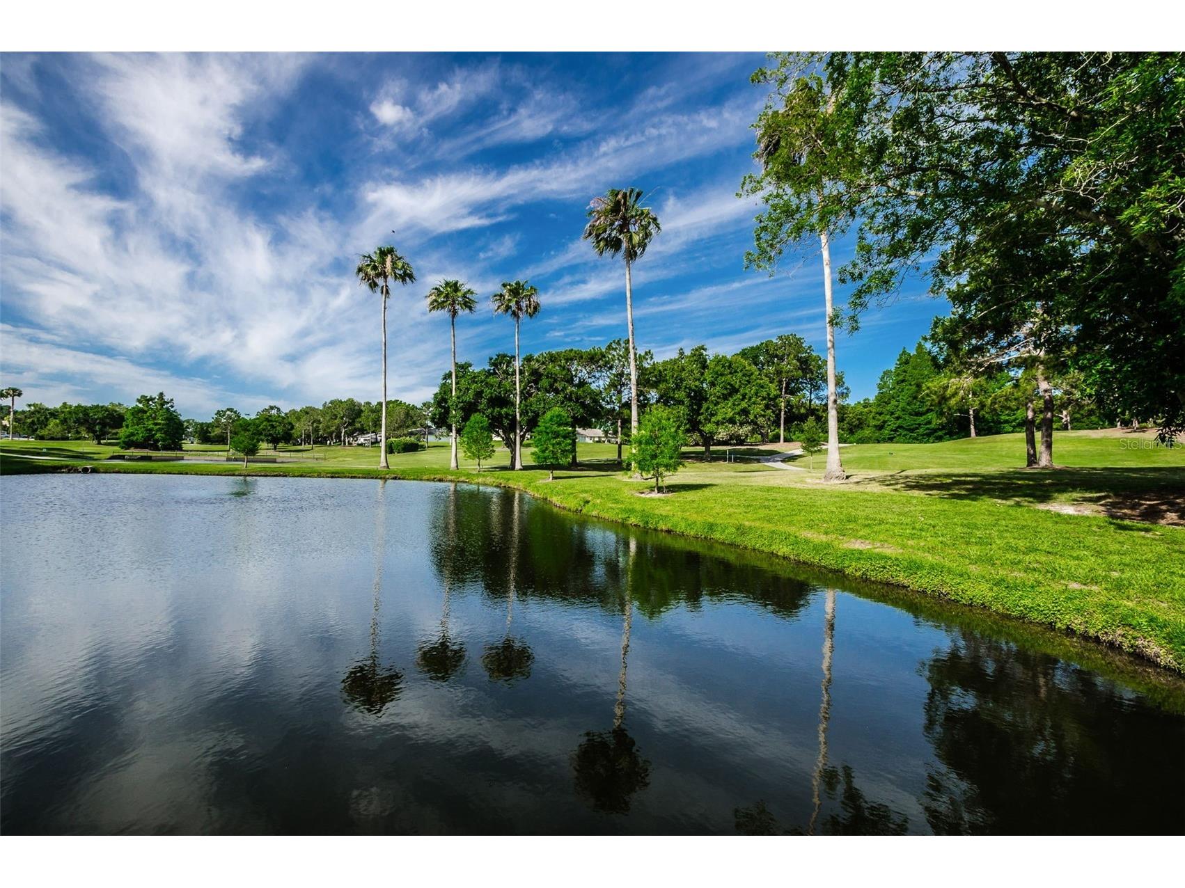 3097 Mission Grove Drive Palm Harbor FL 34684 TB8525428 image77