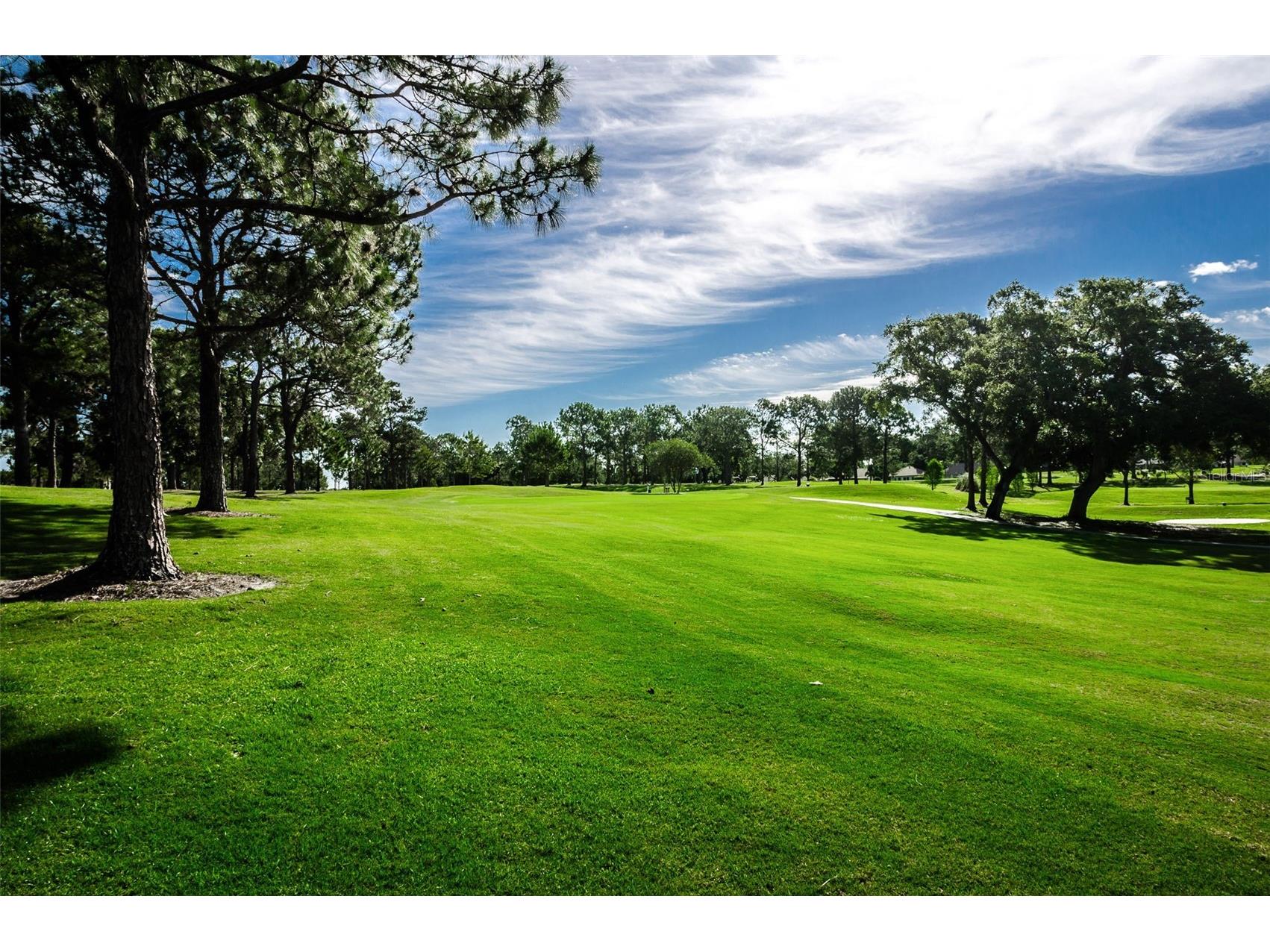 3097 Mission Grove Drive Palm Harbor FL 34684 TB8525428 image78
