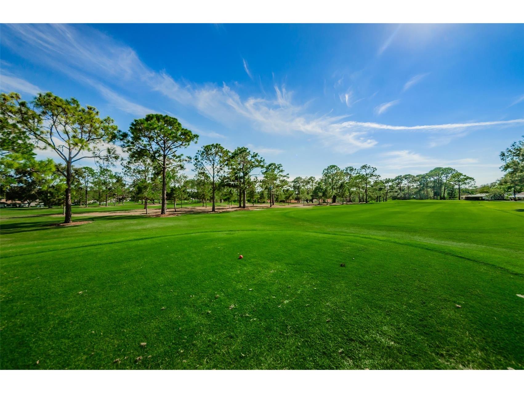 3097 Mission Grove Drive Palm Harbor FL 34684 TB8525428 image79