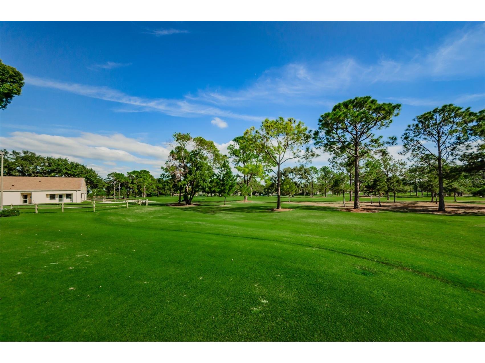 3097 Mission Grove Drive Palm Harbor FL 34684 TB8525428 image80